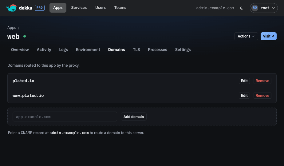 The Domains tab with inline editing and a DNS hint