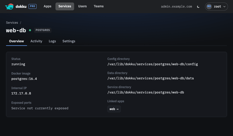 A service's detail page showing its image, internal IP, ports, and connection string