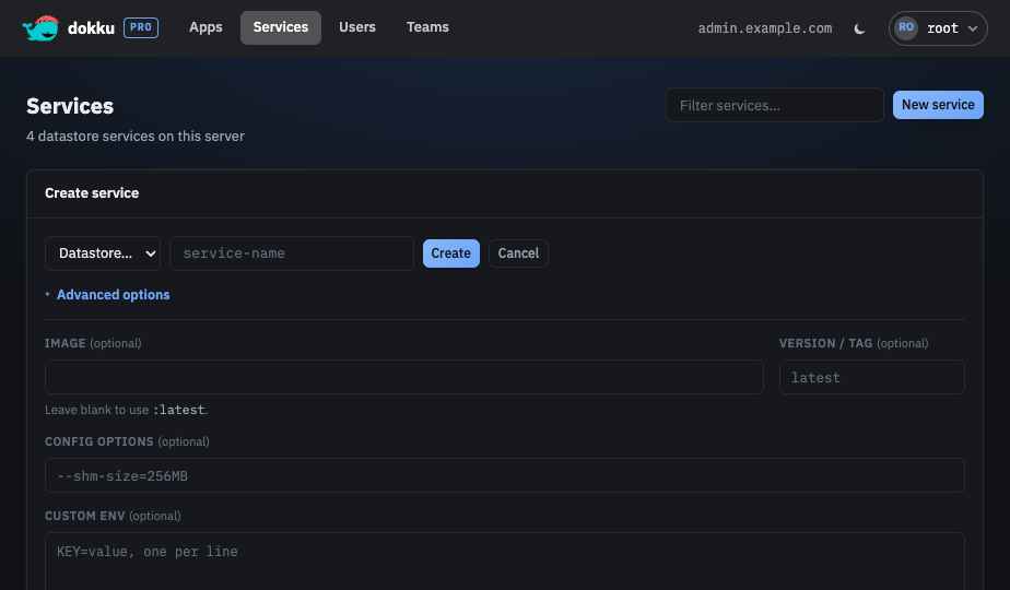 The service create form with the Advanced options section expanded