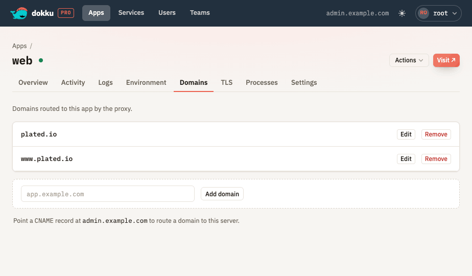 The Domains tab with inline editing and a DNS hint