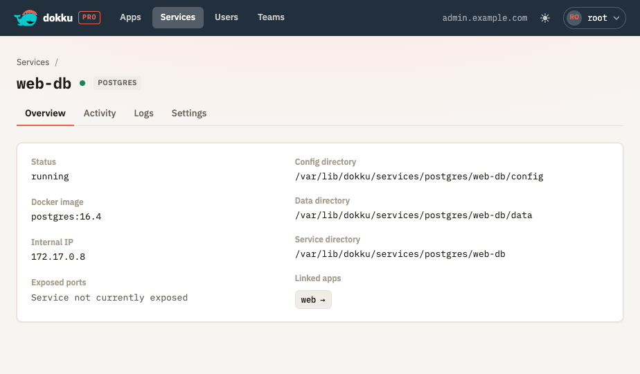 A service's detail page showing its image, internal IP, ports, and connection string