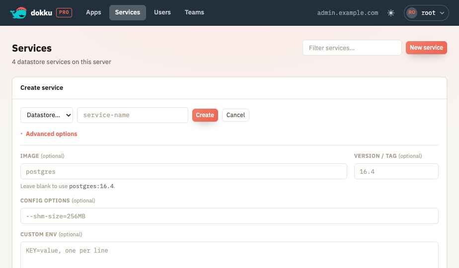 The service create form with the Advanced options section expanded
